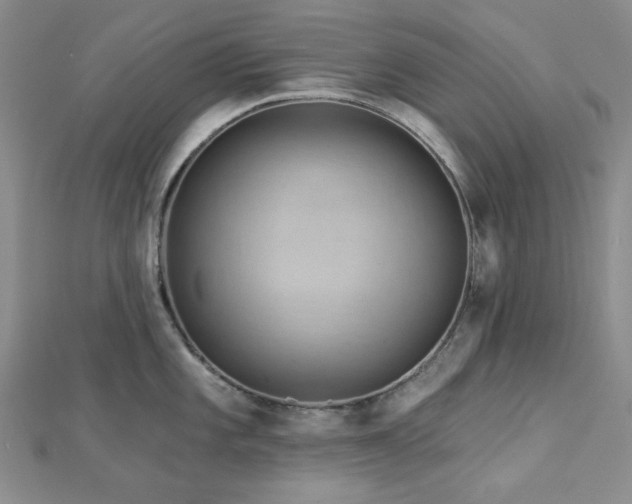 X0000113021101200908271428
