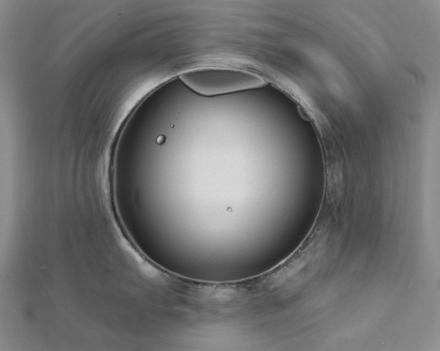 X0000113021103200908271428