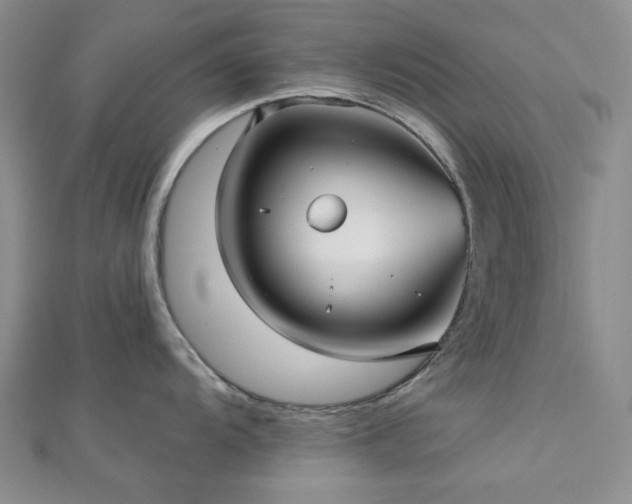X0000113021104200908271428