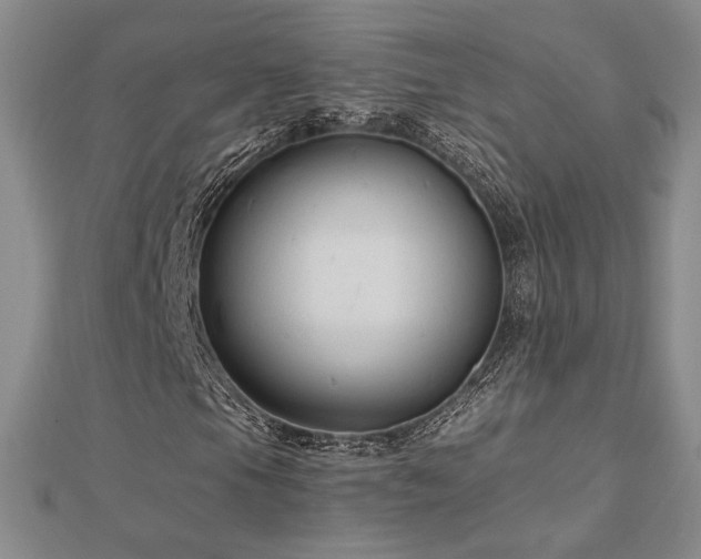 X0000113021105200908271427