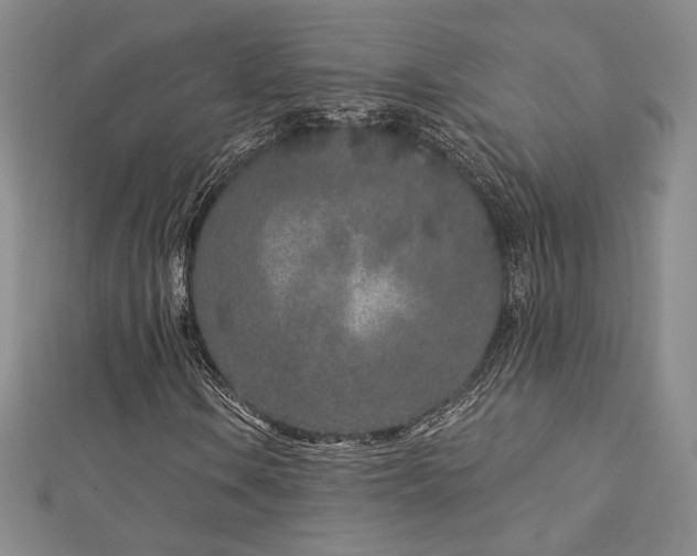 X0000113021106200908271427