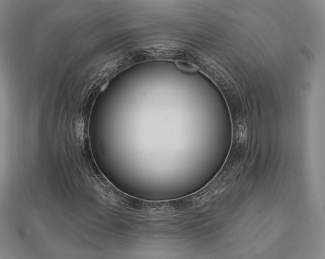 X0000113021108200908271427