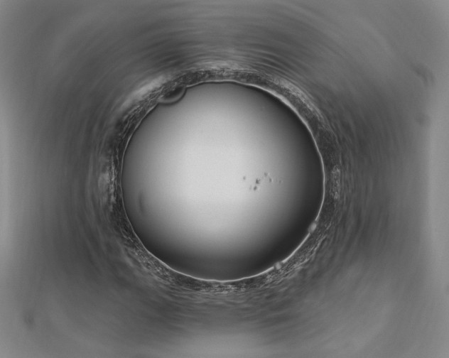 X0000113021111200908271428