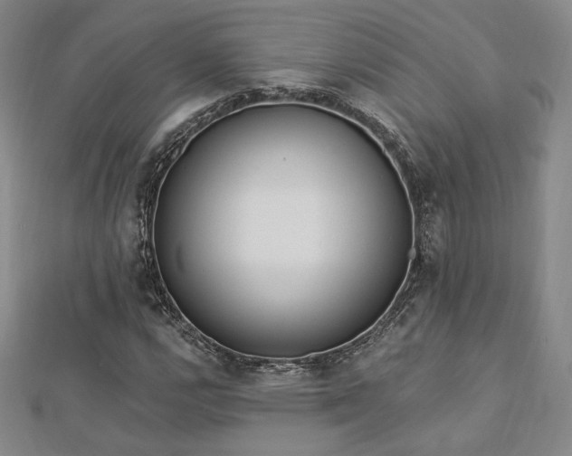 X0000113021112200908271428