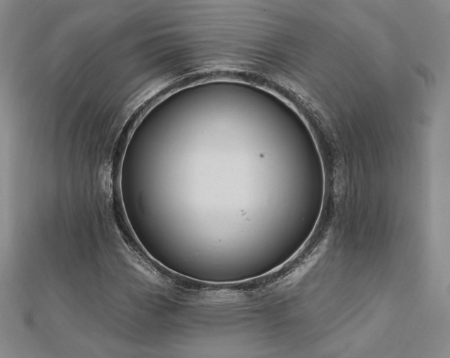 X0000113021113200908271428
