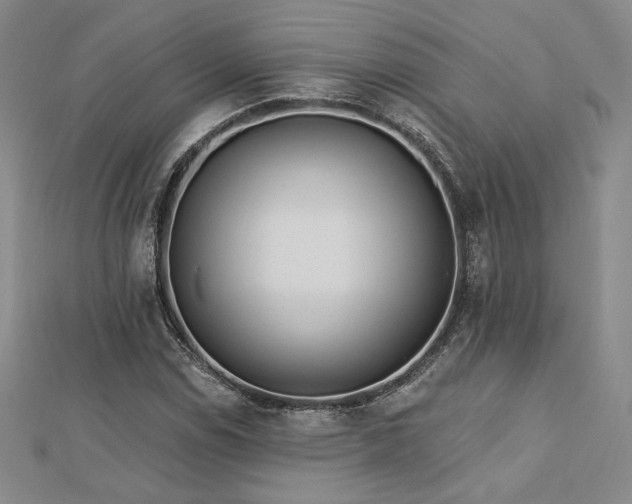 X0000113021114200908271428