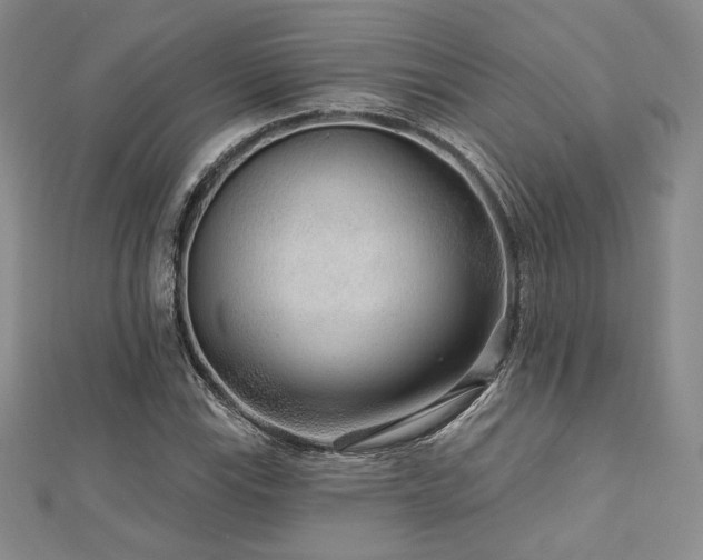 X0000113021115200908271428