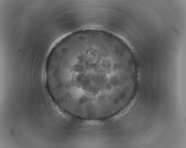 X0000113021117200908271428