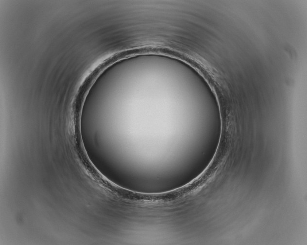 X0000113021118200908271428