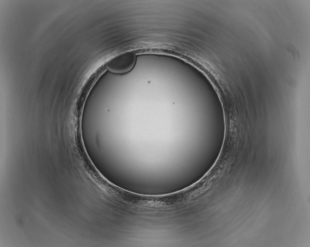 X0000113021119200908271428