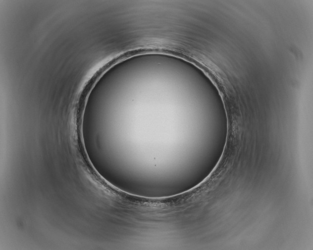 X0000113021120200908271428