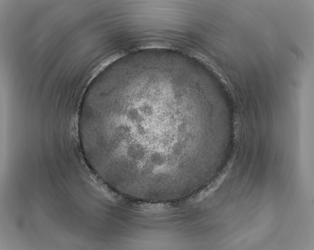 X0000113021121200908271428