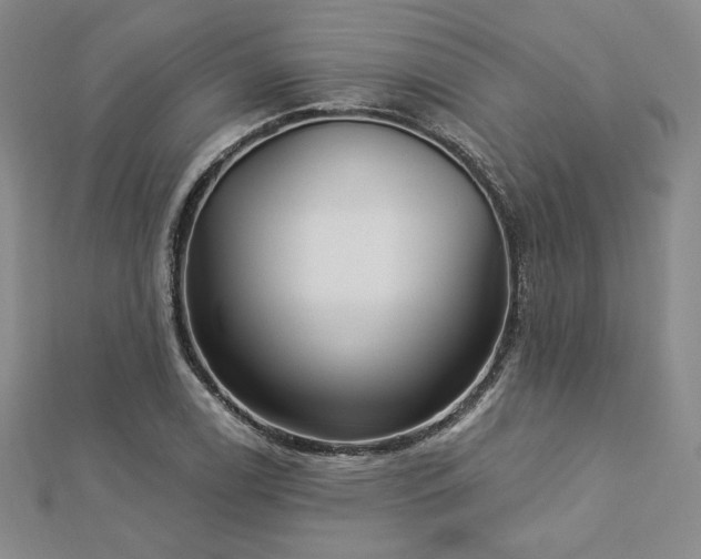 X0000113021122200908271428