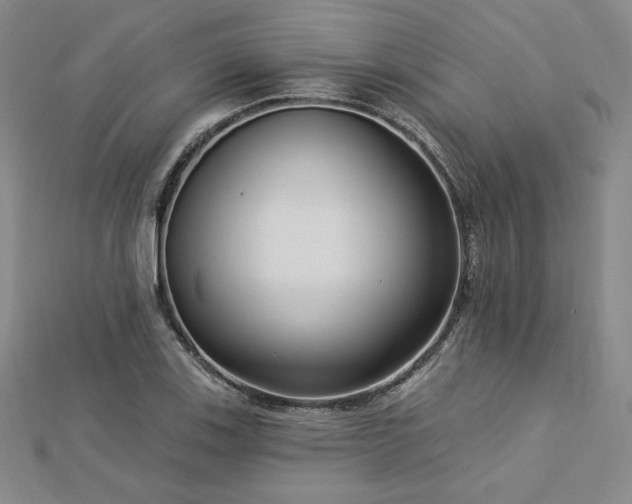 X0000113021123200908271428