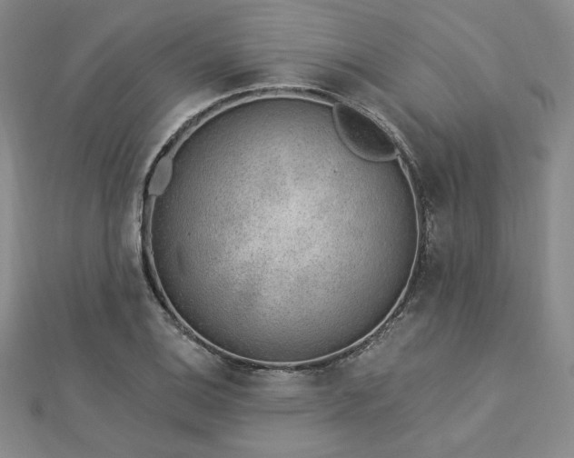 X0000113021124200908271428
