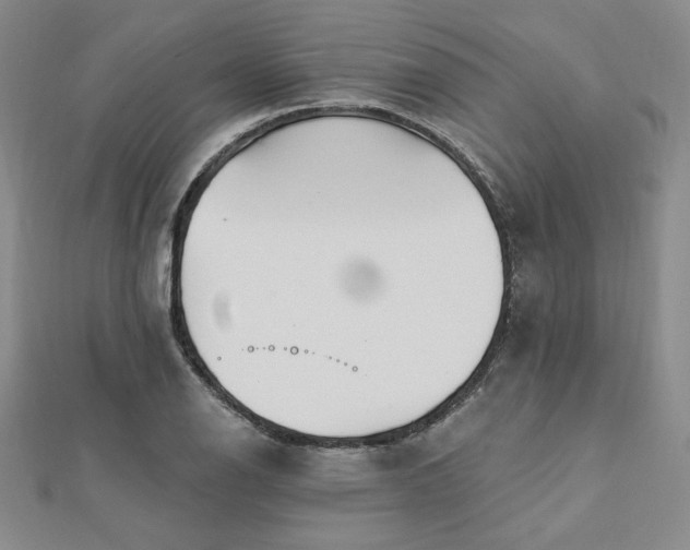 X0000113021126200908271428