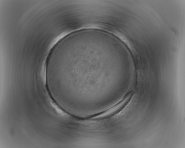 X0000113021127200908271428