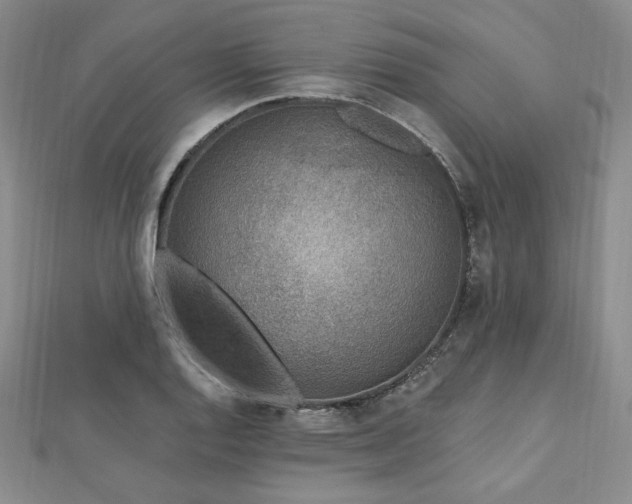 X0000113021128200908271428
