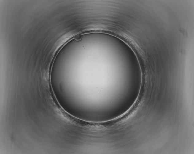 X0000113021129200908271428