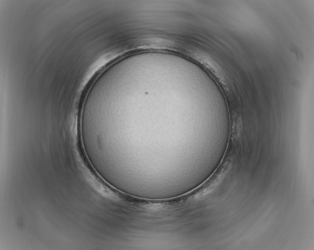 X0000113021130200908271428