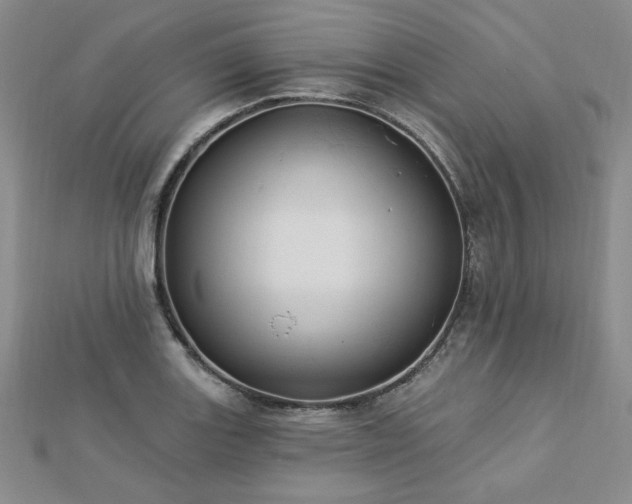 X0000113021131200908271428