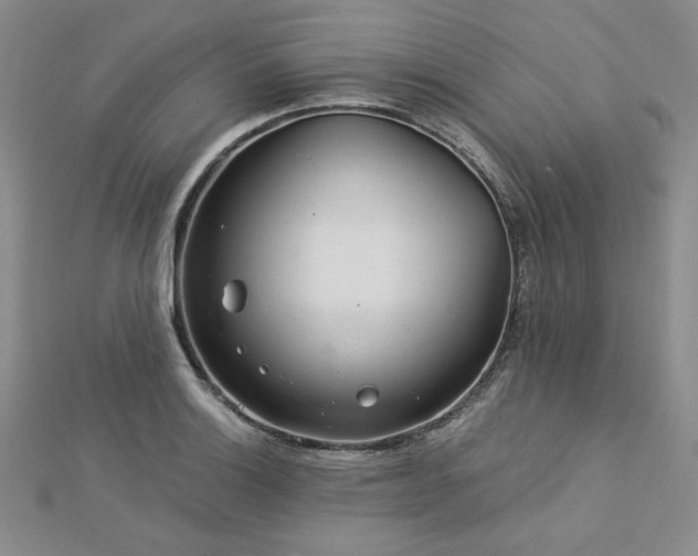 X0000113021132200908271428