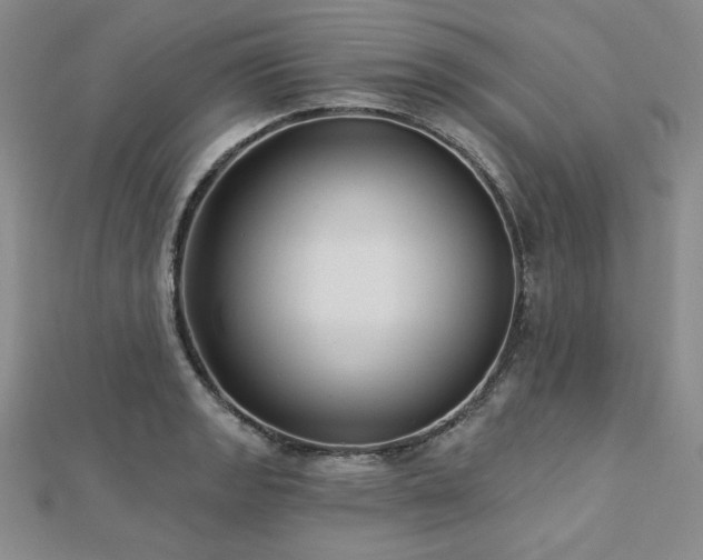 X0000113021133200908271428