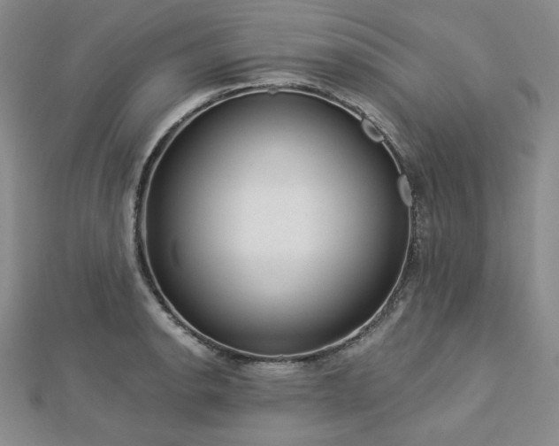X0000113021134200908271428