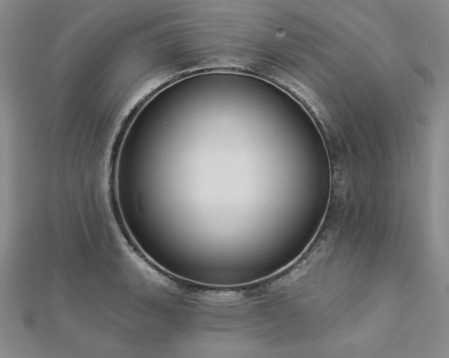 X0000113021135200908271428