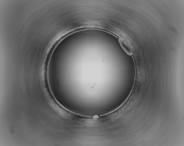 X0000113021136200908271428