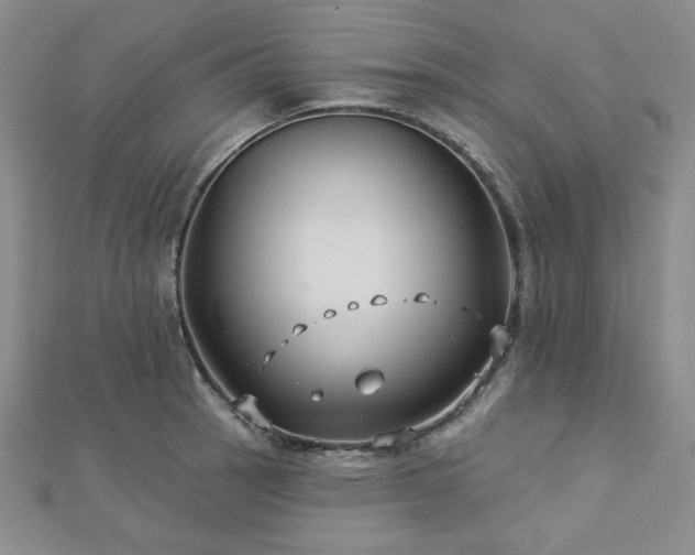 X0000113021137200908271428