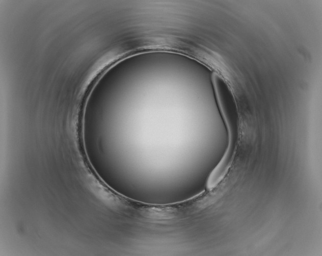 X0000113021138200908271428