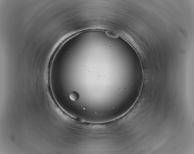 X0000113021140200908271428