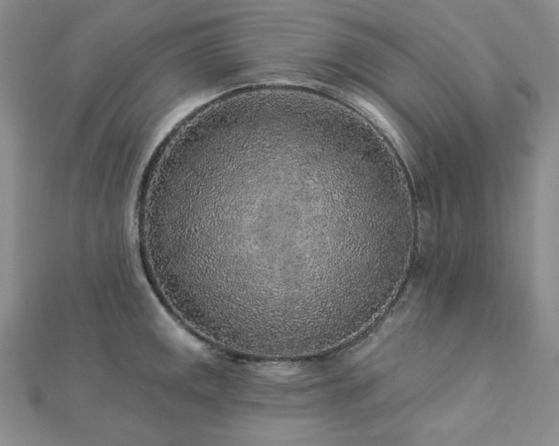 X0000113021141200908271428