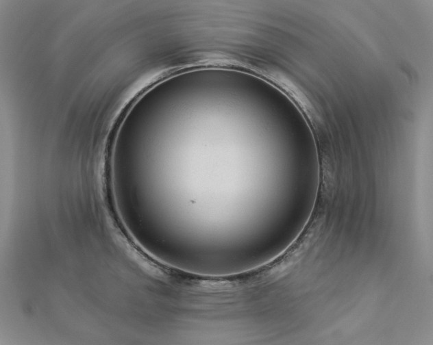 X0000113021142200908271428