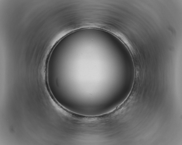 X0000113021143200908271428