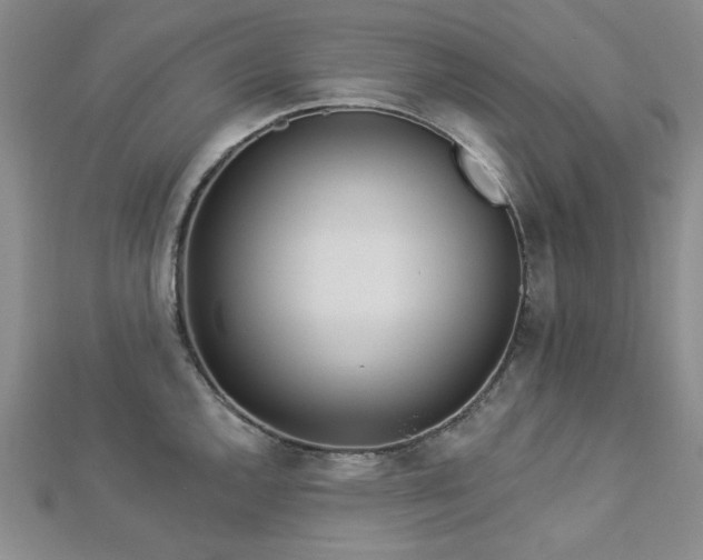 X0000113021144200908271428