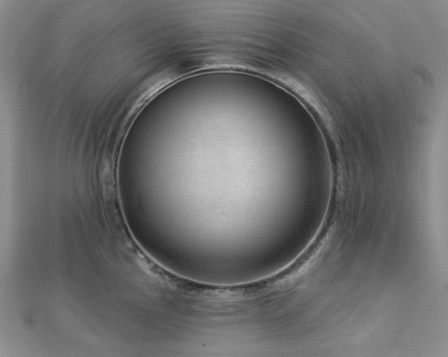 X0000113021145200908271428