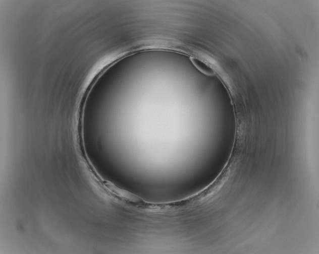 X0000113021146200908271428