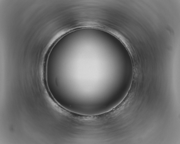 X0000113021147200908271428
