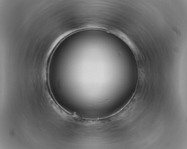 X0000113021148200908271428