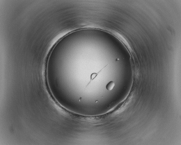 X0000113021149200908271428