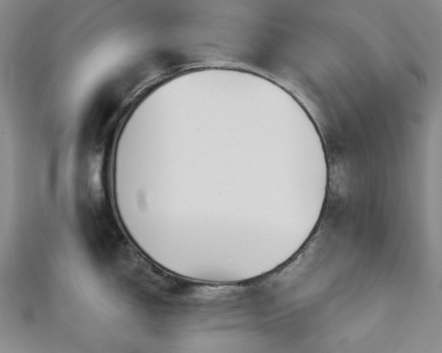 X0000113021150200908271428