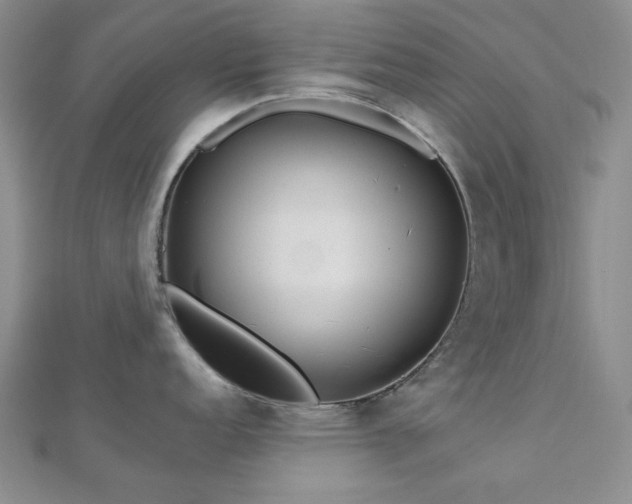 X0000113021152200908271428