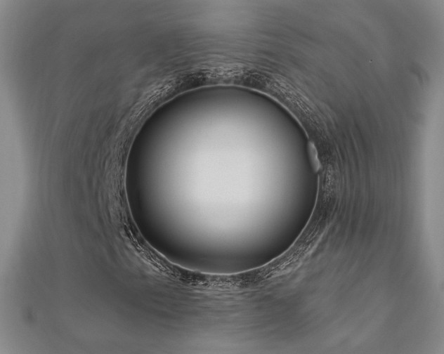 X0000113021153200908271427
