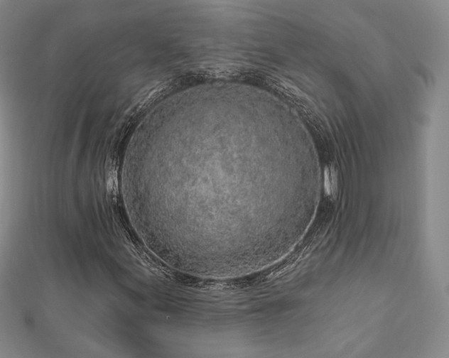 X0000113021155200908271427