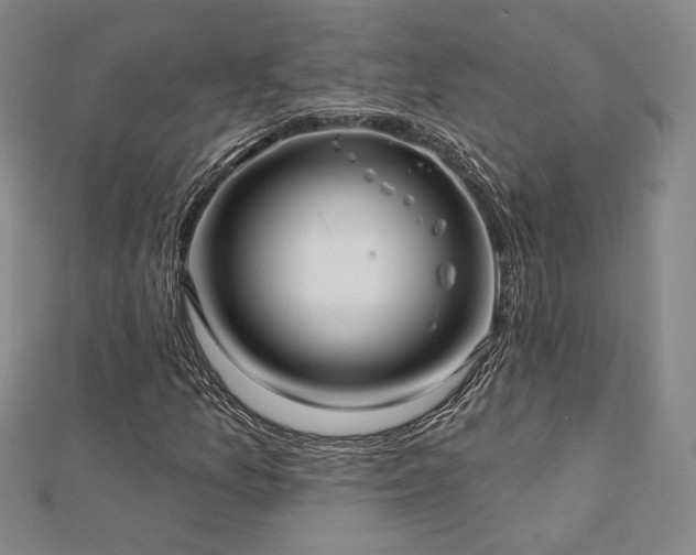 X0000113021157200908271427