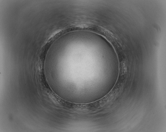 X0000113021158200908271427