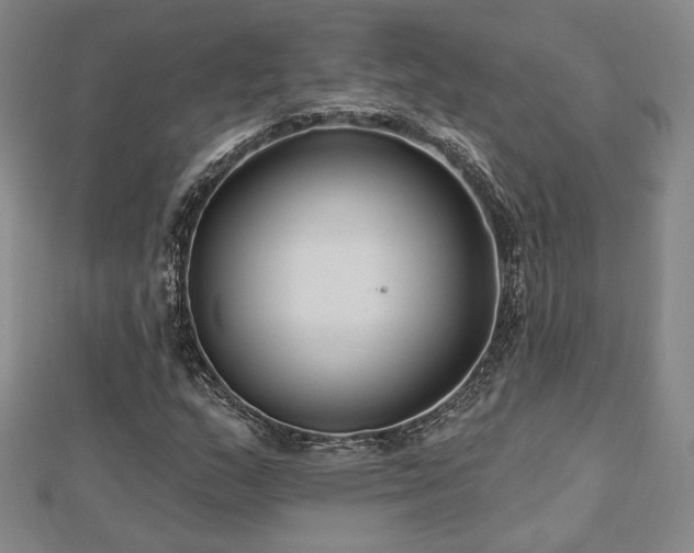 X0000113021159200908271427