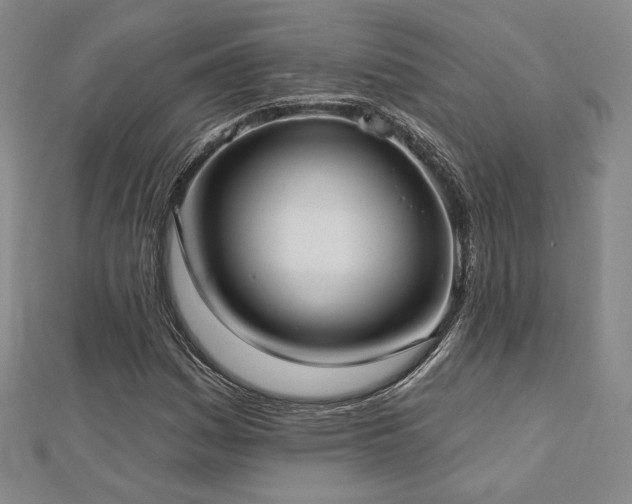 X0000113021161200908271427